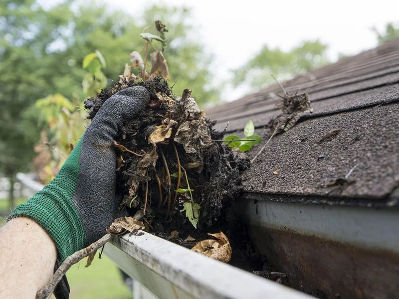 Roofing Repairs