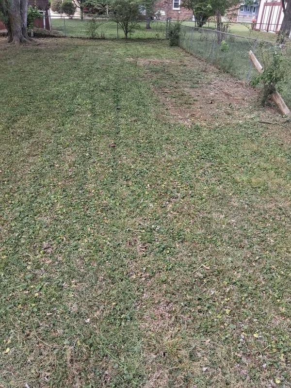 Brush Clearing