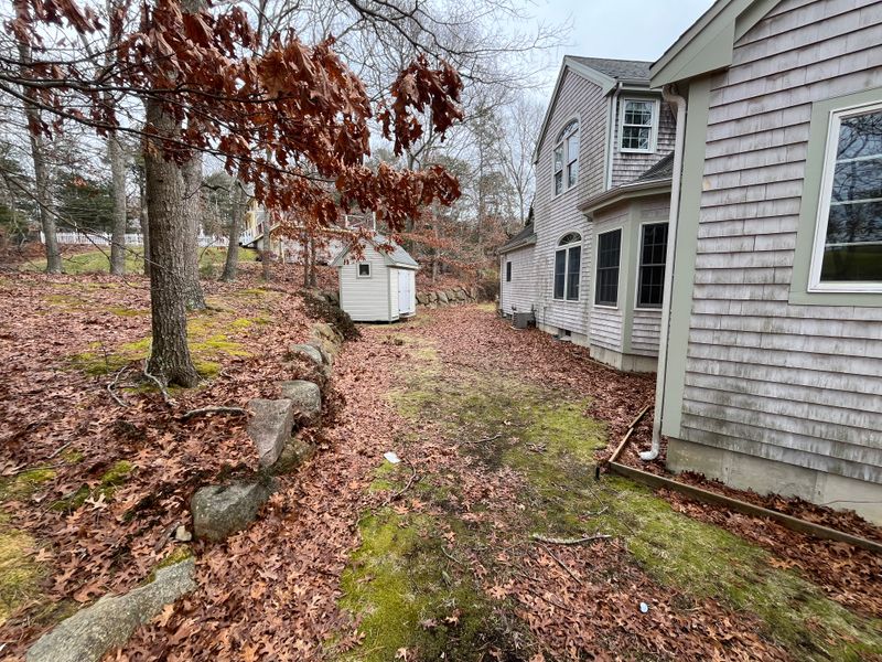 Fall CleanUp