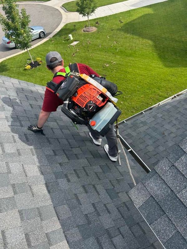 Gutter Cleaning