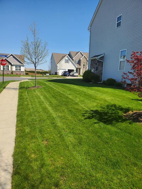 Lawn Care