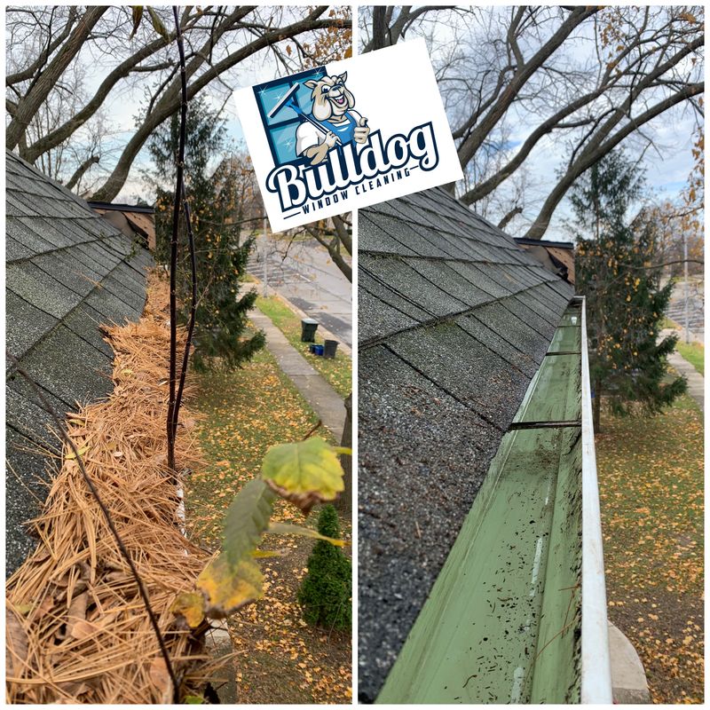 Gutter Cleaning