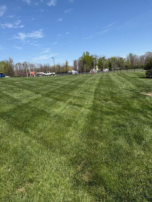 Mowing