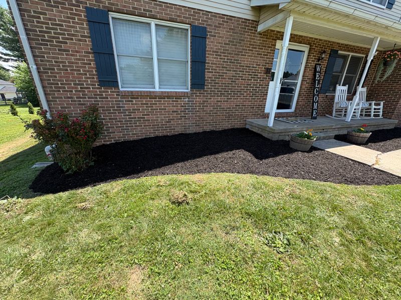 Landscape Design