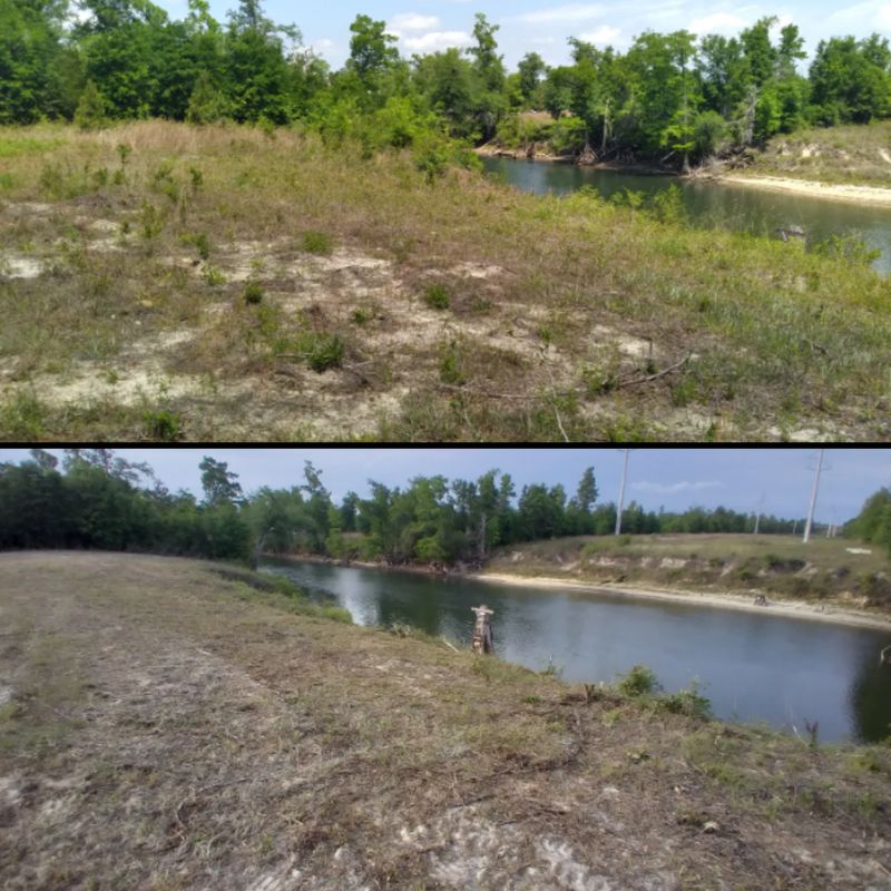 Before & Afters