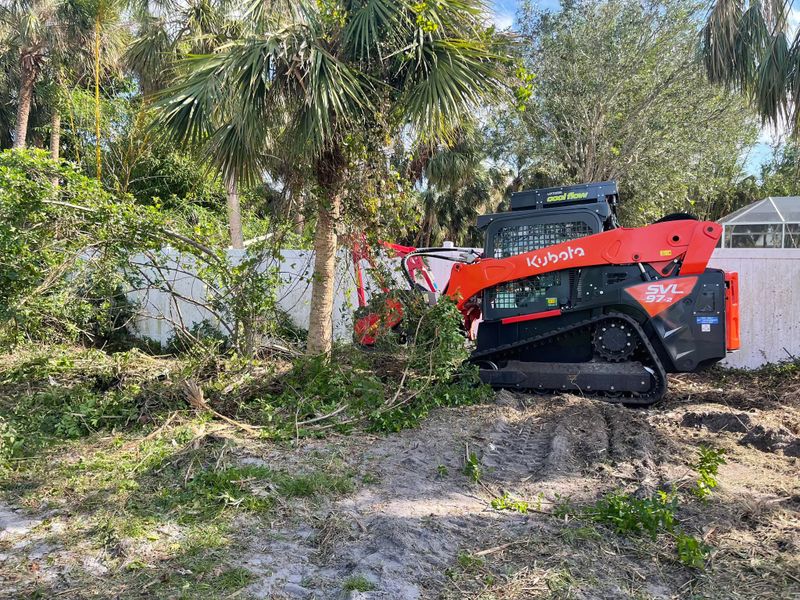 Land Clearing gallery