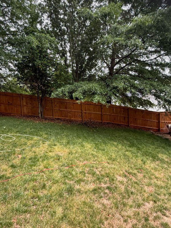 Deck & Fence Staining