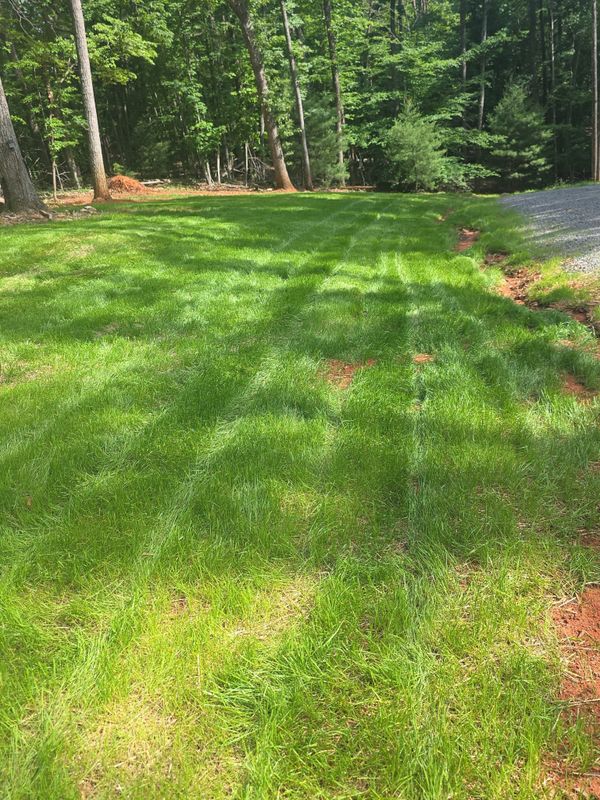 Revitalizing Landscapes: Site Solutions' Boones Mill Transformation