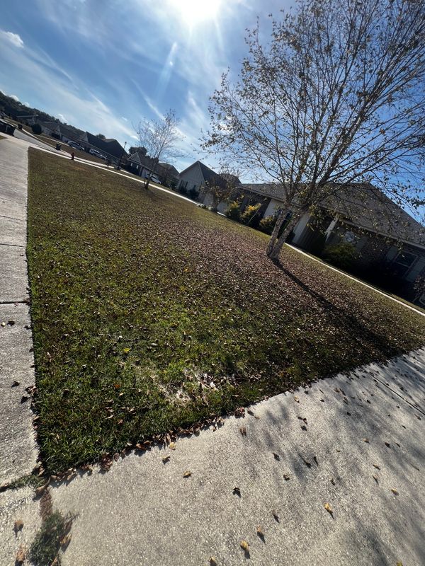 Landscape Maintenance