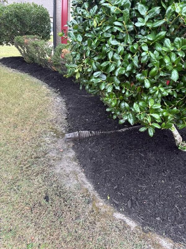 Flower Bed Maintenance