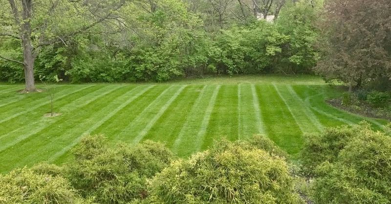 Lawn Care and Maintenance