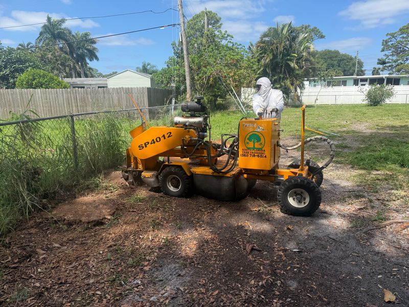 Stump Grinding