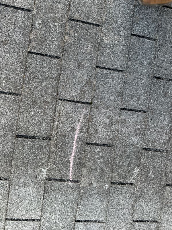 Roofing Consultations