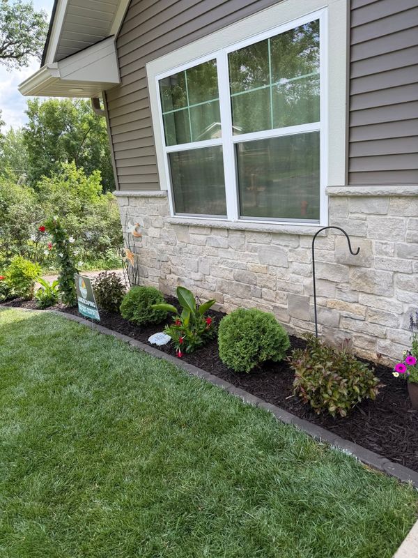 Shrub Trimming