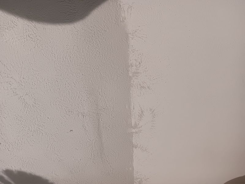 Subfloor repair and Beam Shoring