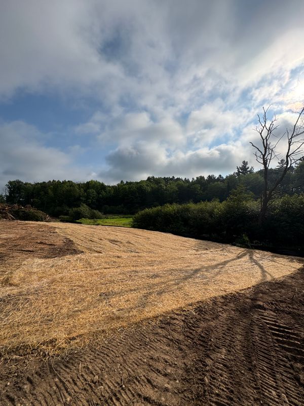 Site Prep