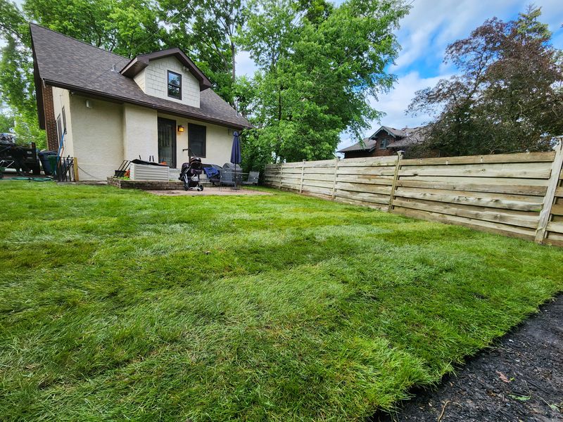 New grass