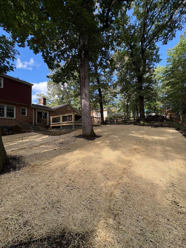 Debris Removal