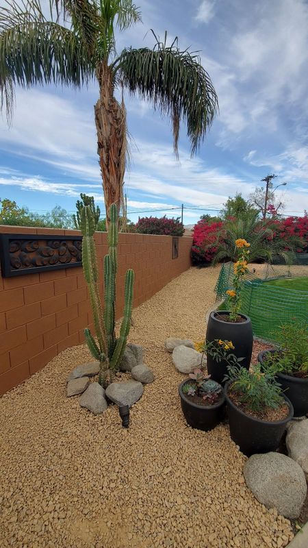 Garden and Planting Plans