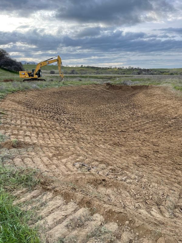 Land Clearing