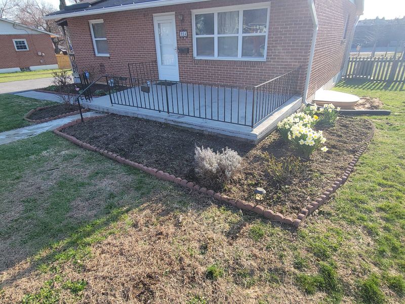 Beautiful Lawns