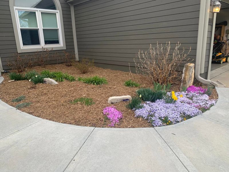 Landscape Maintenance