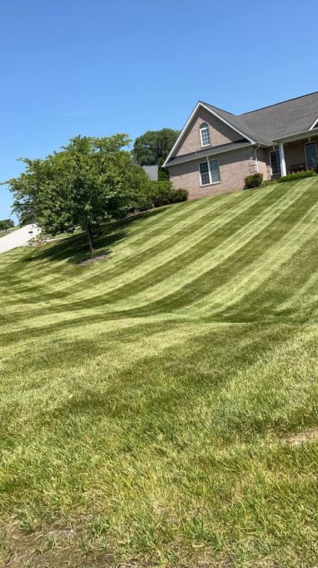Lawn and Sod Installation