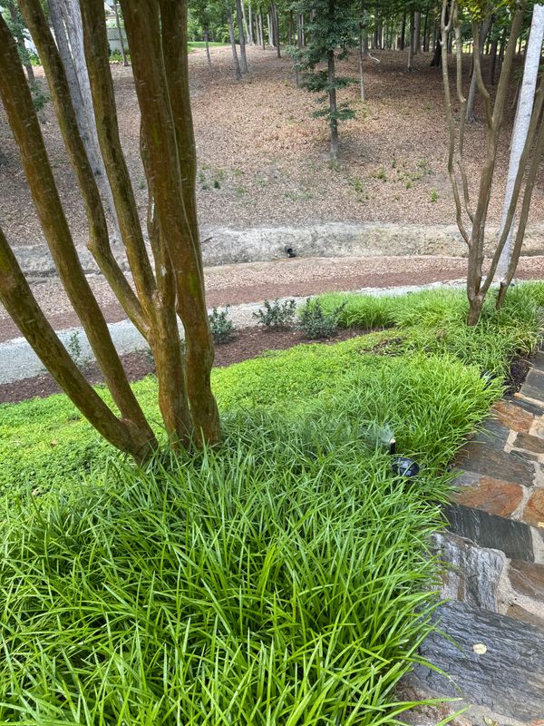 Irrigation gallery