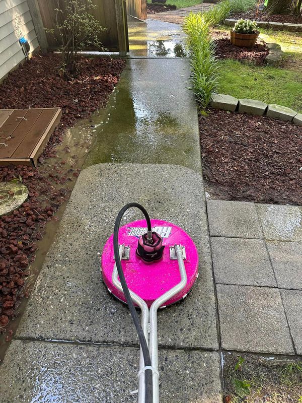 Driveway and Concrete Cleaning