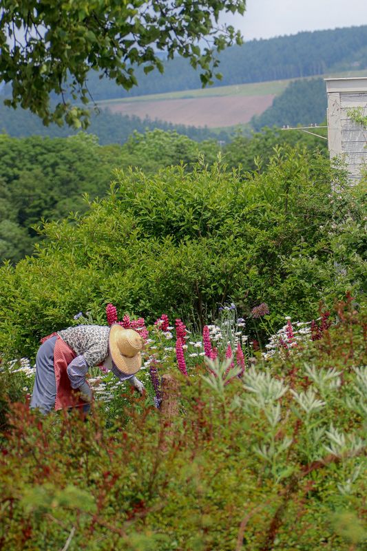 Garden Maintenance