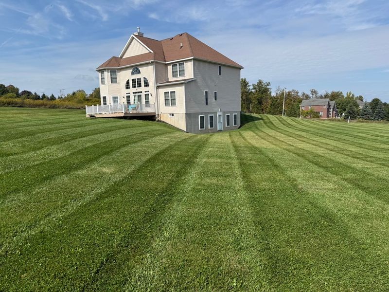 Weekly Lawn Care