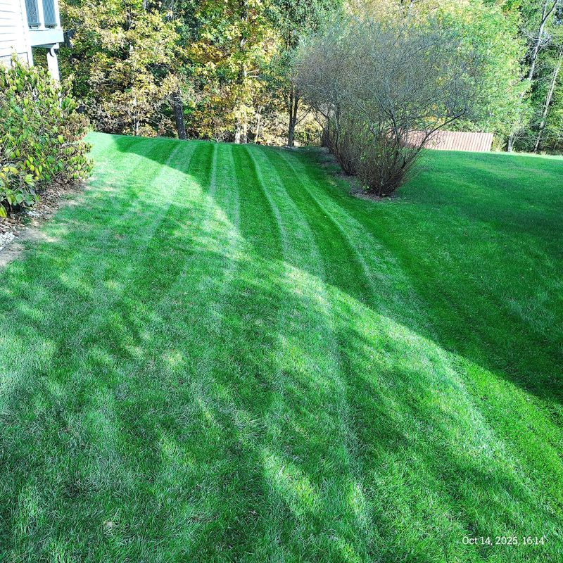 Lawn Maintenance