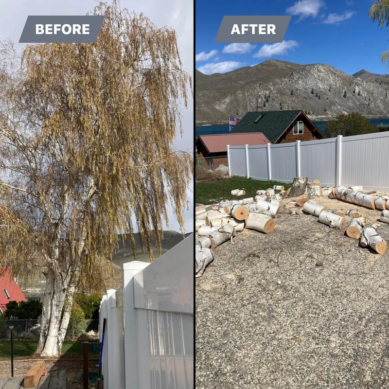 Tree Trimming and Removal