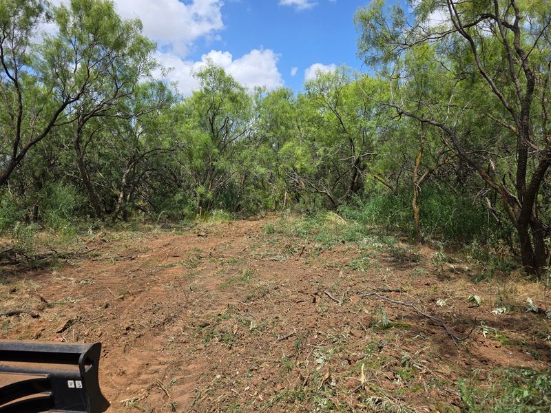 Wichita Falls Land Clearing Job