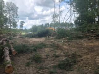 Land Clearing