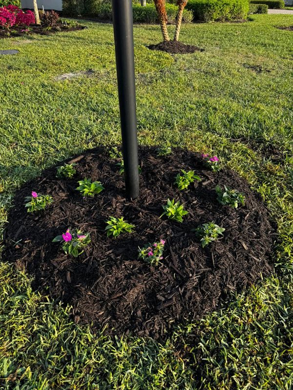 Landscape Design