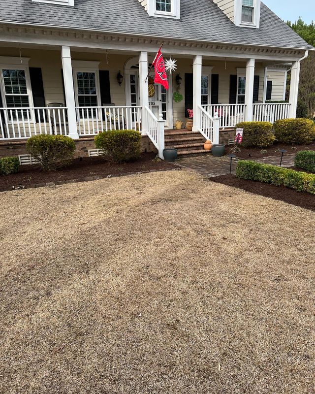Lawn Care
