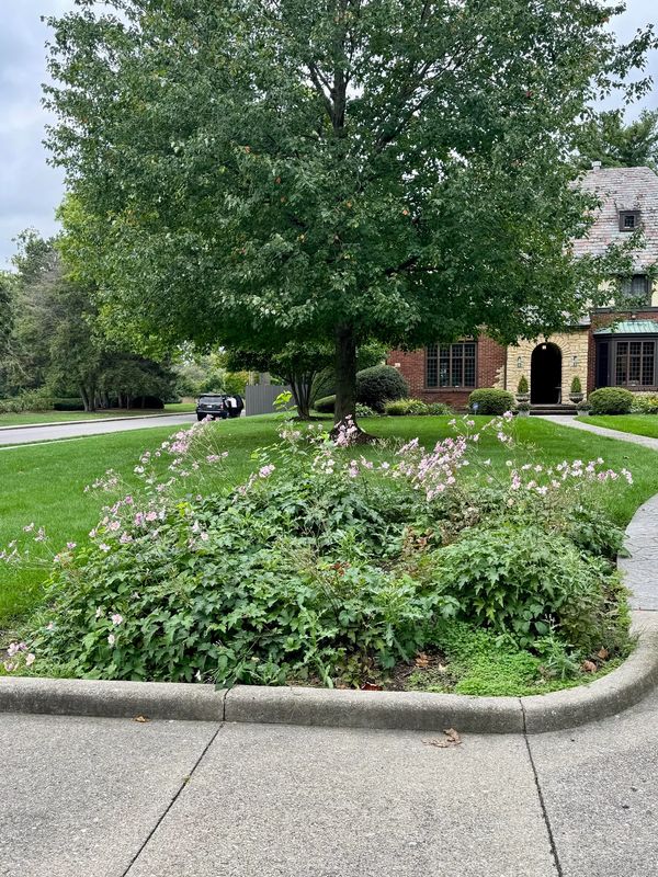Landscape Design
