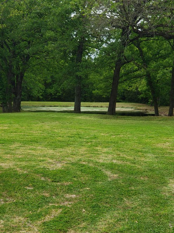 Lawn Care