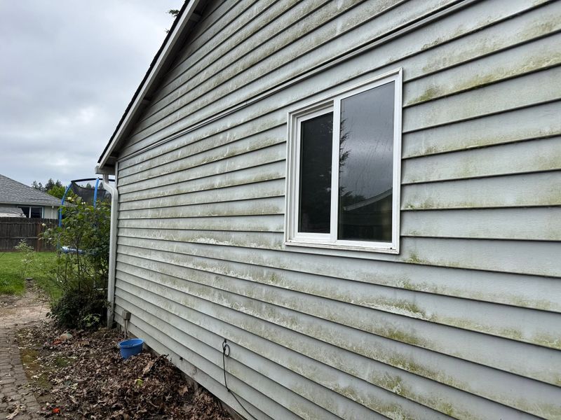 Window Cleaning