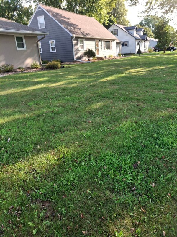 Lawn Maintenance