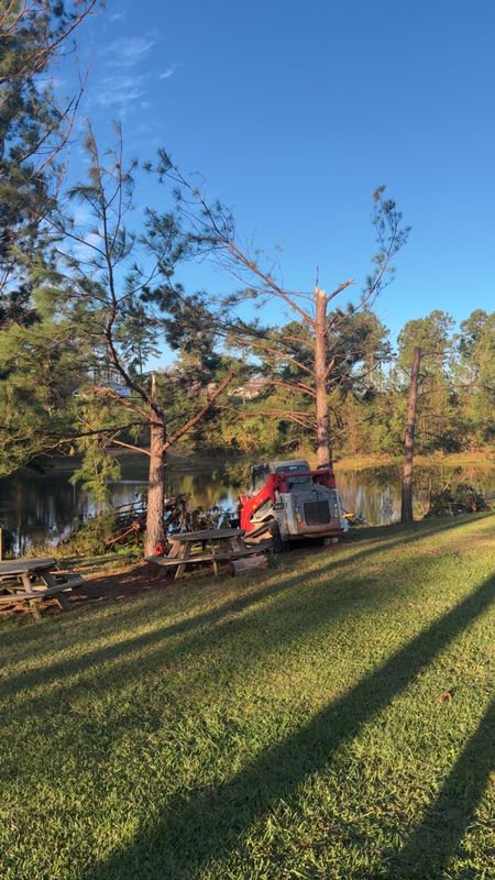 Tree Removal