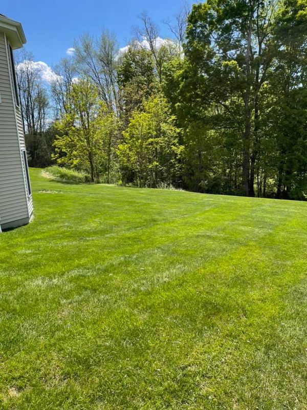 Landscaping