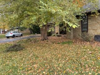 Fall and Spring Clean Up