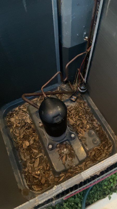 Routine Maintenance and Tune-ups