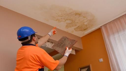 Mold Remediation