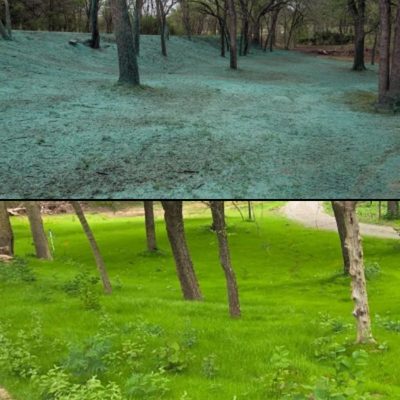 Hydroseeding