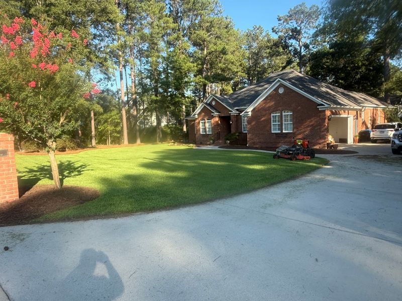 Lawn Maintenance