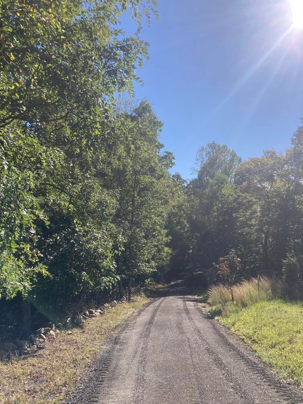 Road & Driveway Regrading