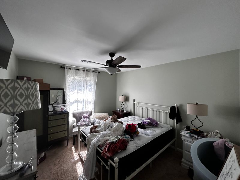 Painting Services